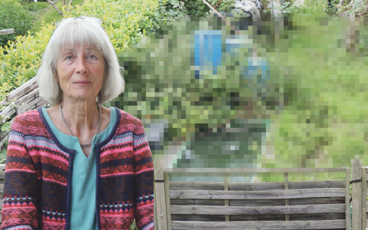 Collage Teichterror Collage Teichterror