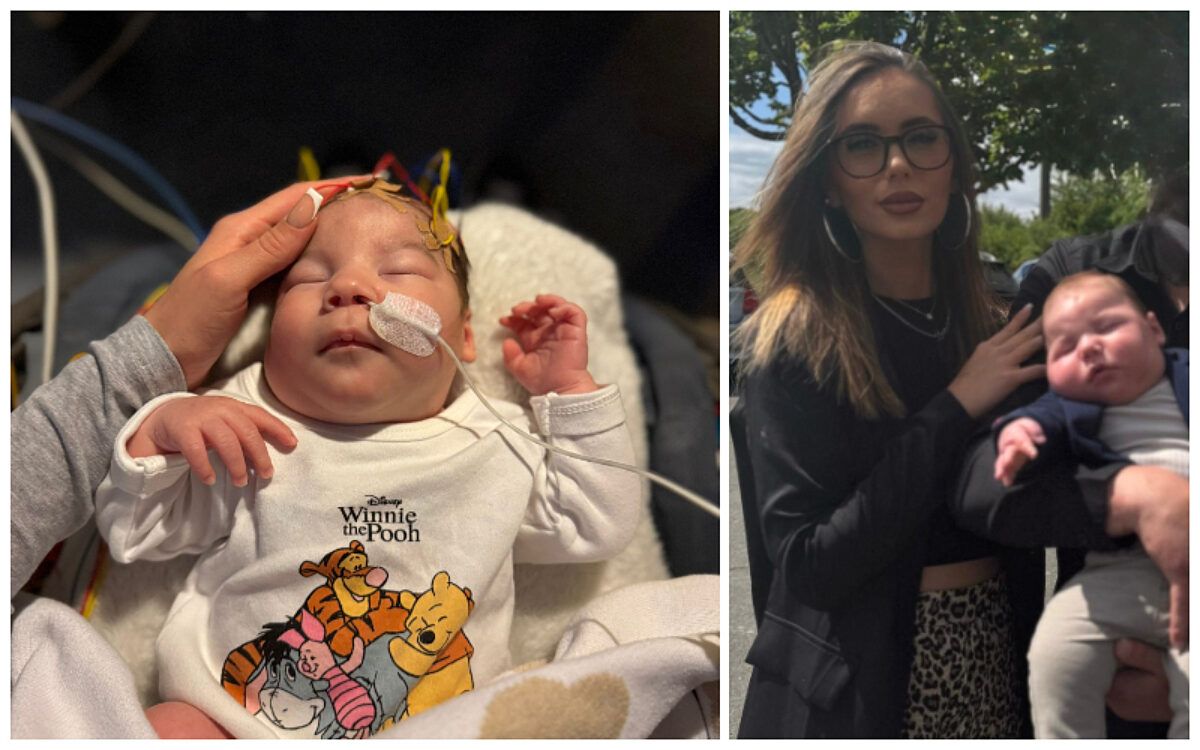 Collage Leano Collage Leano