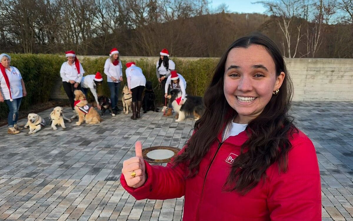 Dilara Handy 2 Dilara Handy 2