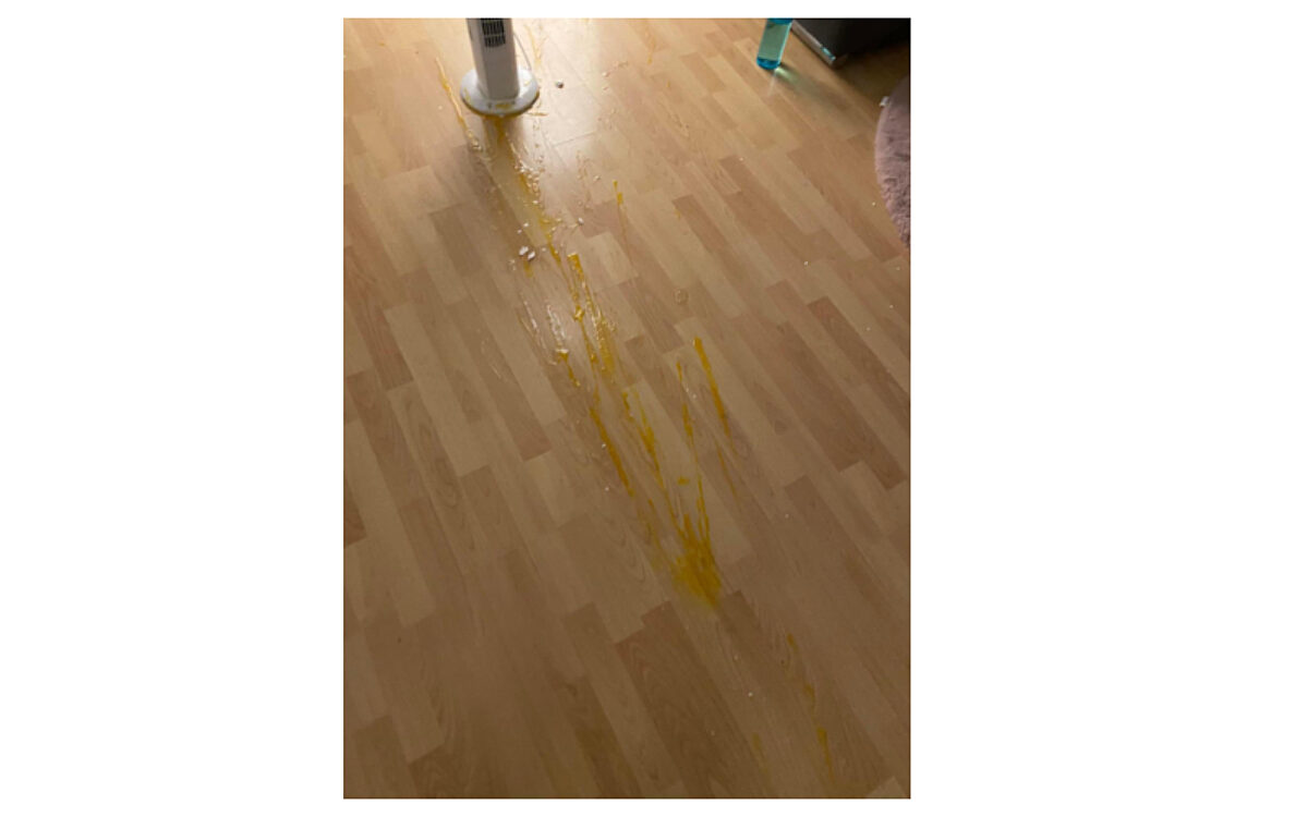 Eierwerfer Klein Krotzenburg 5 Eierwerfer Klein Krotzenburg 5