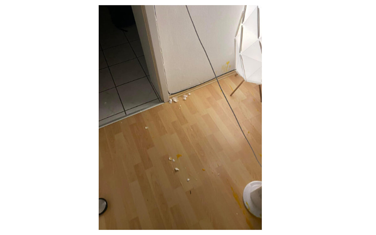 Eierwerfer Klein Krotzenburg 7 Eierwerfer Klein Krotzenburg 7