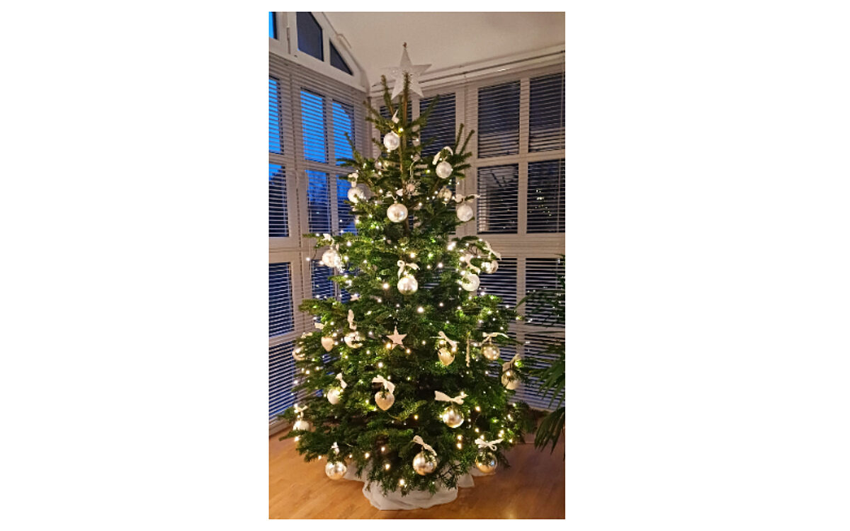 Familie Seubert aus Aschaffenburg Familie Seubert aus Aschaffenburg