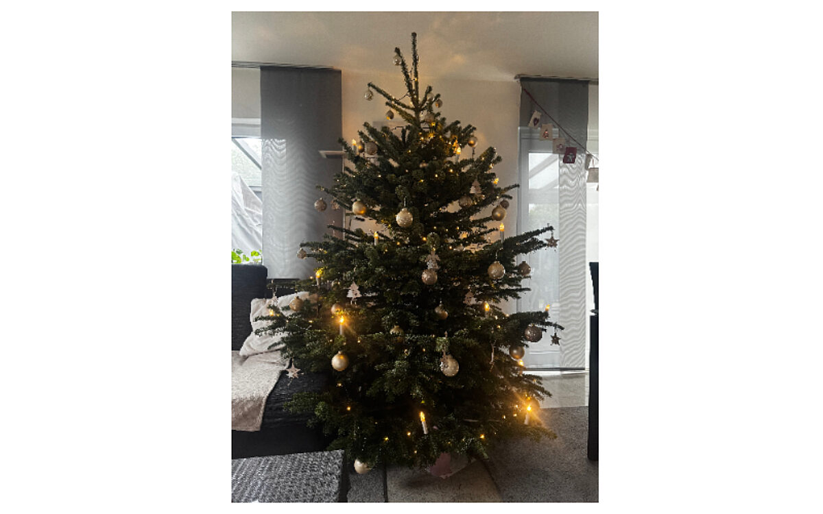 Familie Steiniger aus Kleinwallstadt Familie Steiniger aus Kleinwallstadt