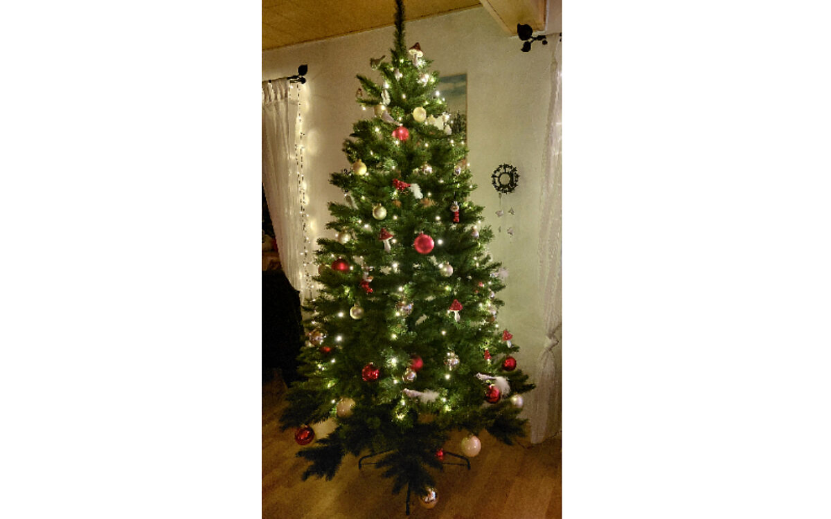 Familie Sulima Neff aus Eschau Familie Sulima Neff aus Eschau