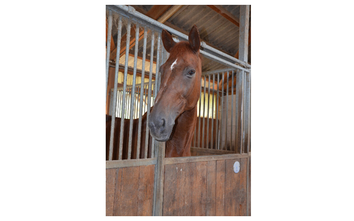 Foto Jet17 Foto Jet17