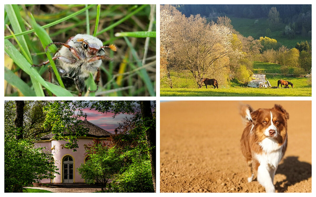 Foto Jet54 Foto Jet54