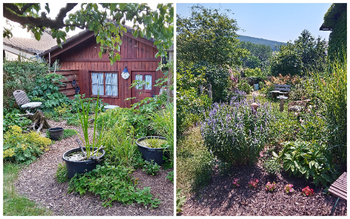 Gertrud und Otto Pfeifer aus Eschau Gertrud und Otto Pfeifer aus Eschau