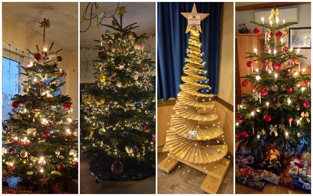 Gewinner KW51 Gewinner KW51