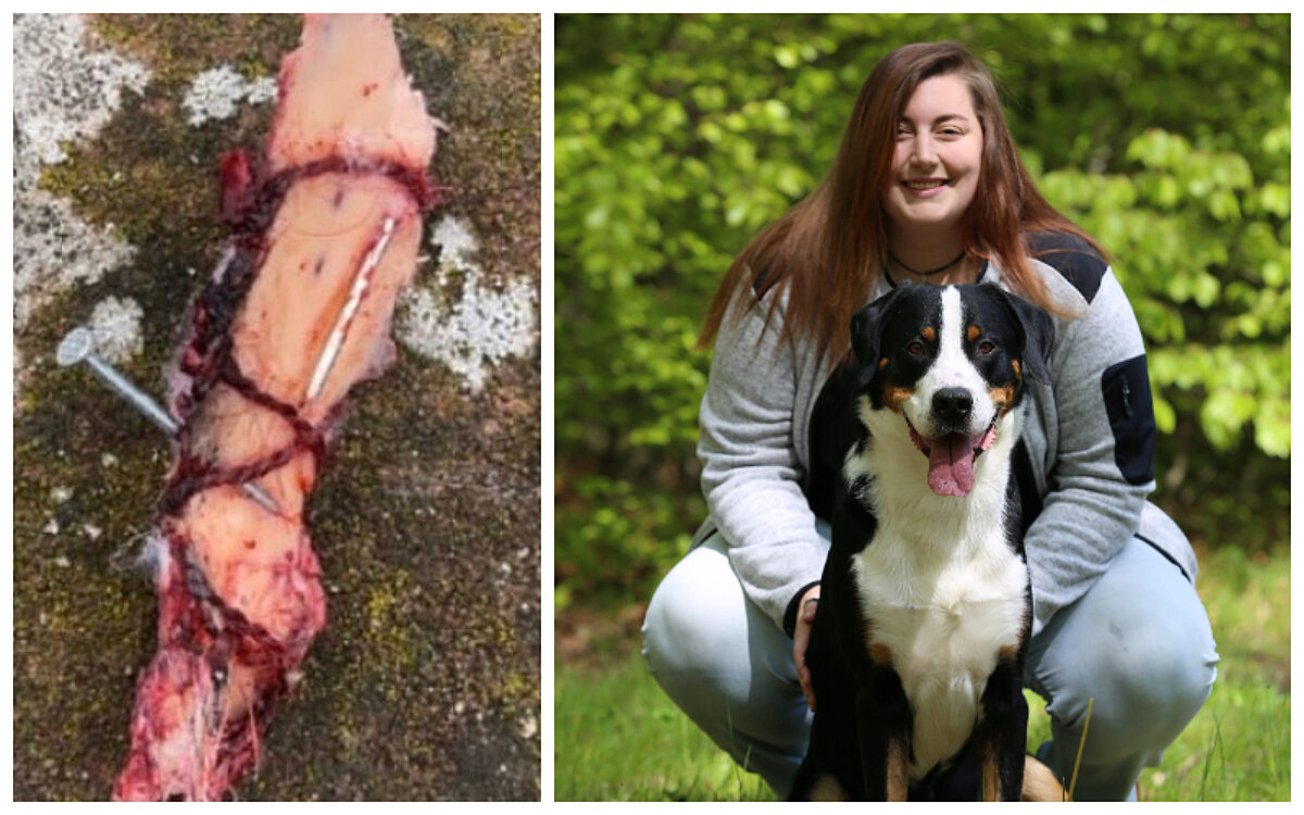 Giftkoeder Giftkoeder