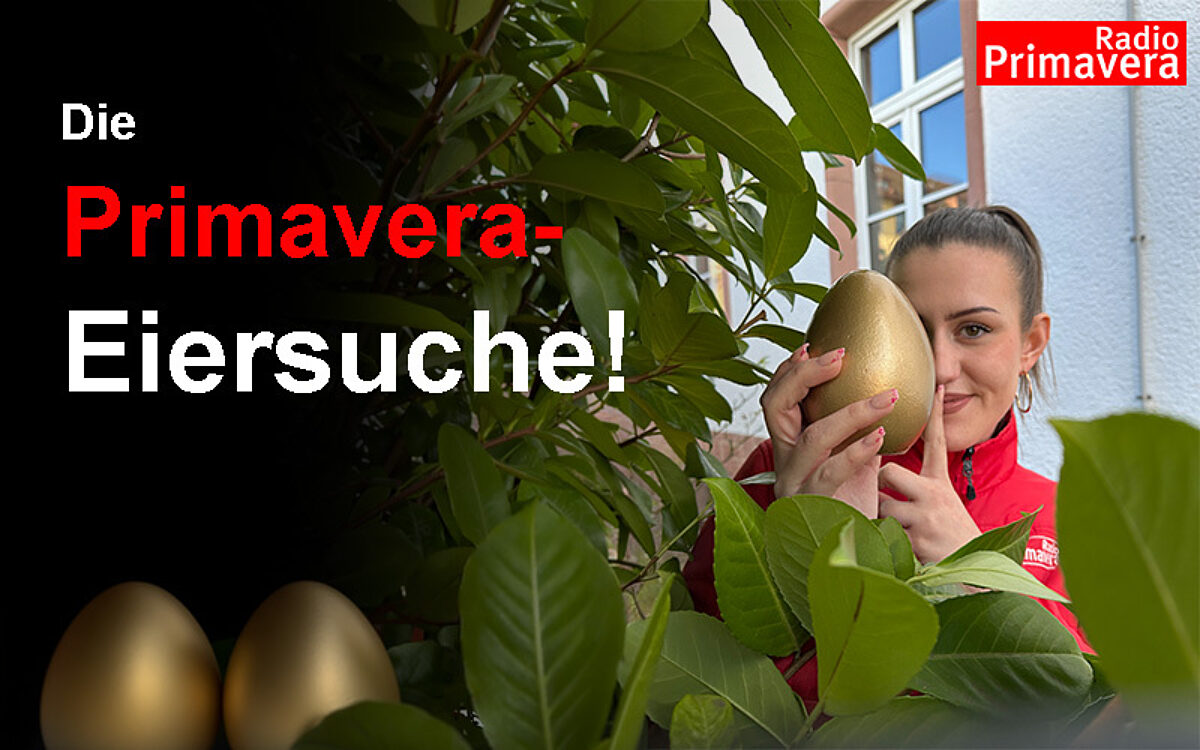 HP Eiersuche HP Eiersuche