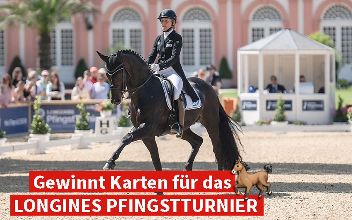 HP Vorlage Wiederhergestellt HP Vorlage Wiederhergestellt