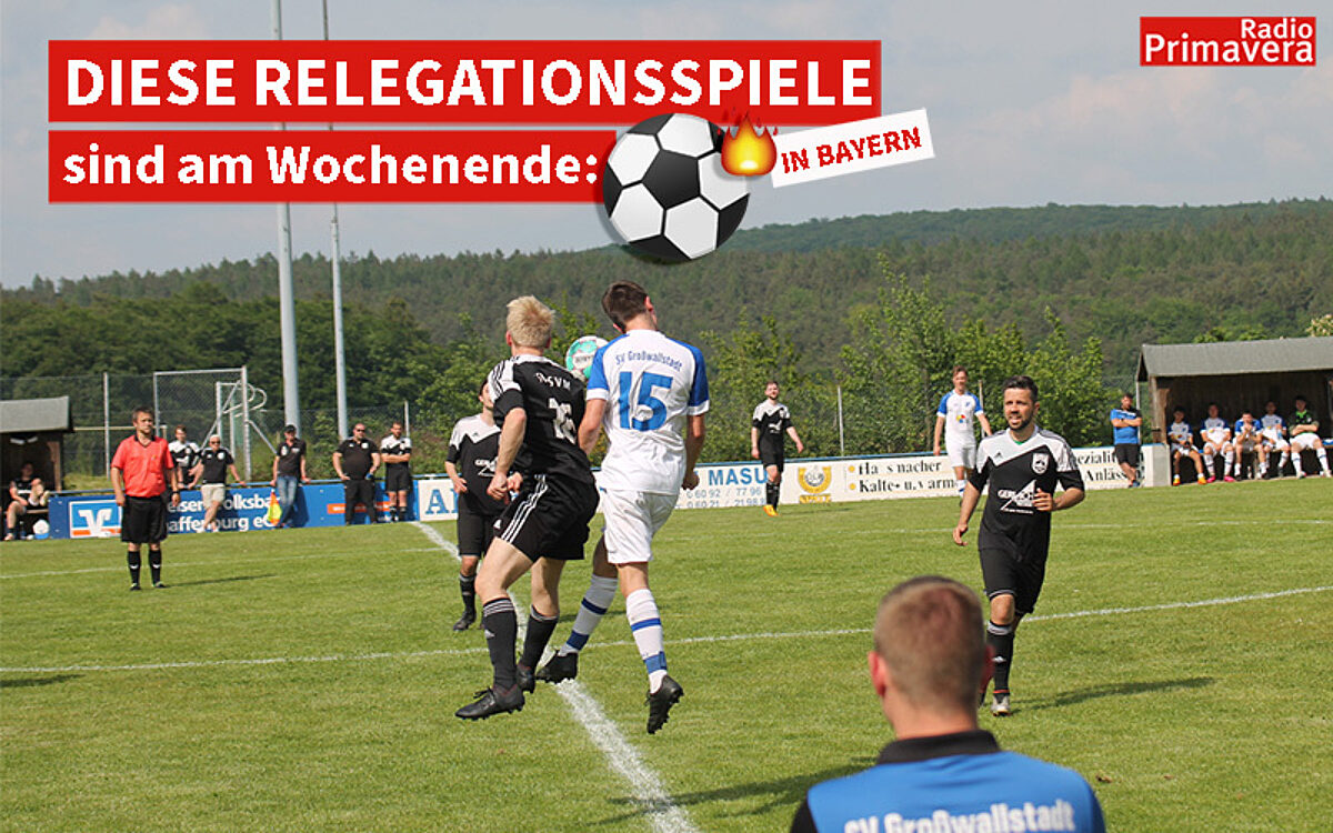 HP Vorlage HP Vorlage