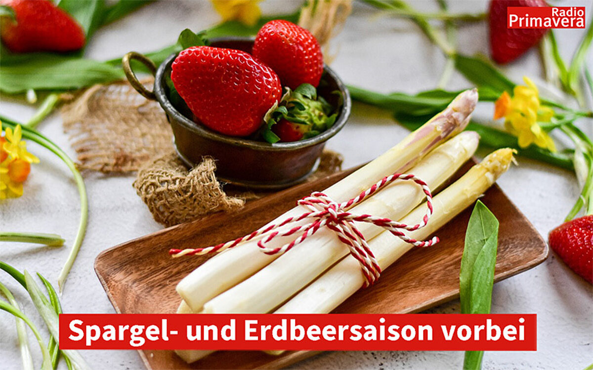 HP Vorlage HP Vorlage