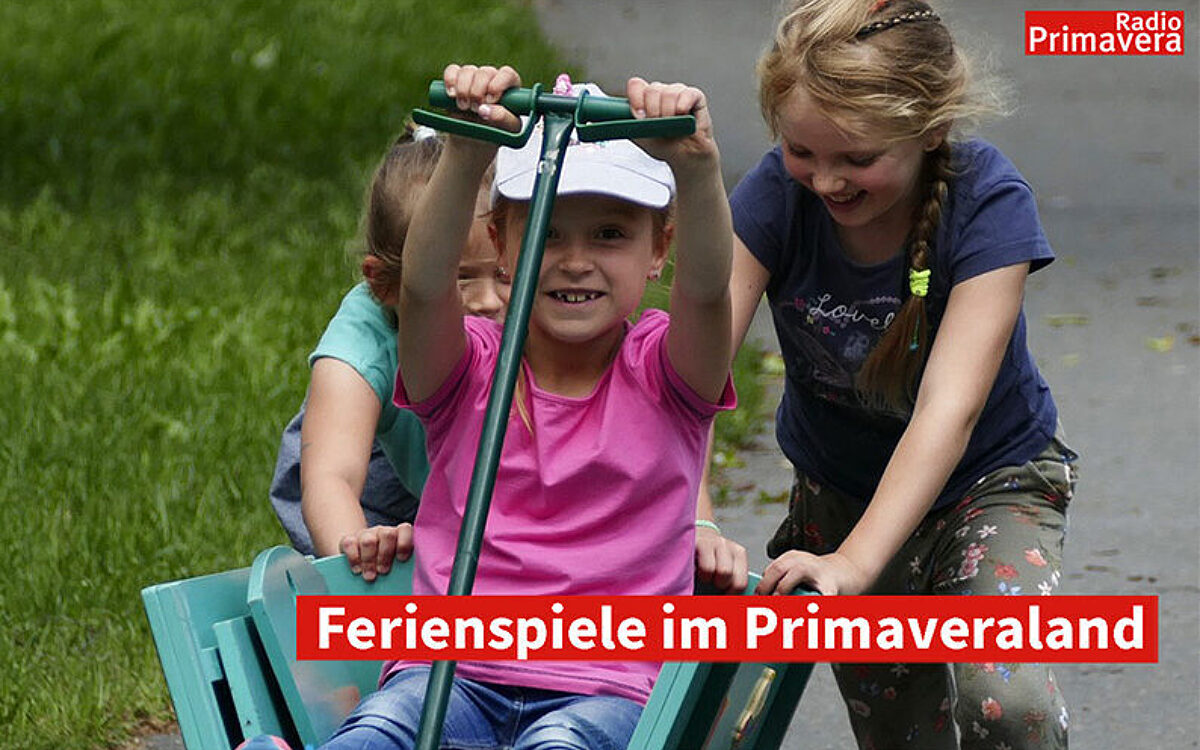 HP Vorlage HP Vorlage