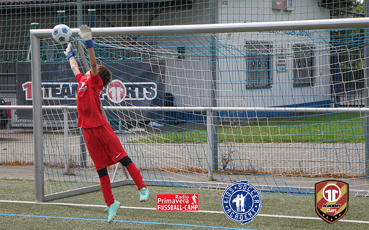 HP Vorlage HP Vorlage