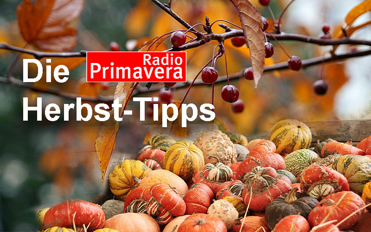 Herbsttipps Herbsttipps