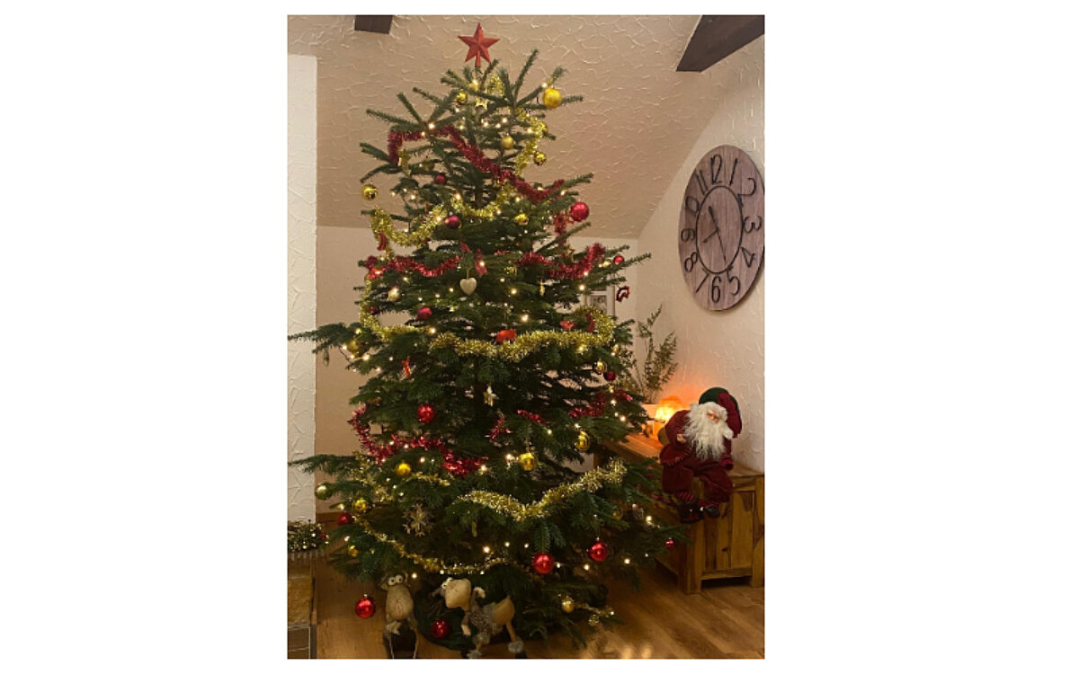 Histov Vadim aus Erlenbach Histov Vadim aus Erlenbach