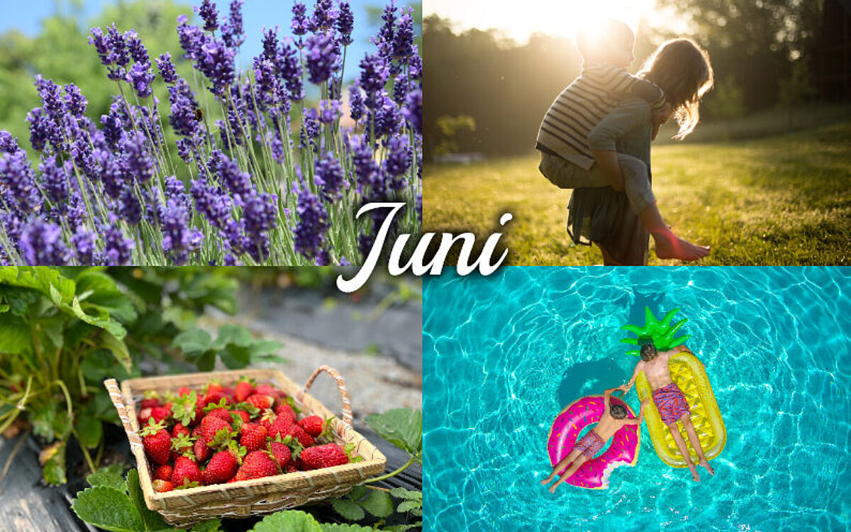 Juni Collage VA Juni Collage VA