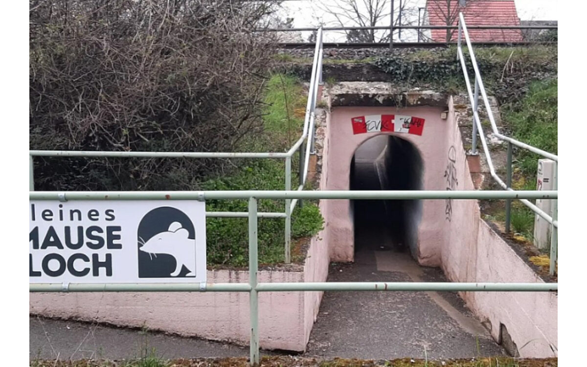 KW 40 Kahl Mause Loch collage KW 40 Kahl Mause Loch collage