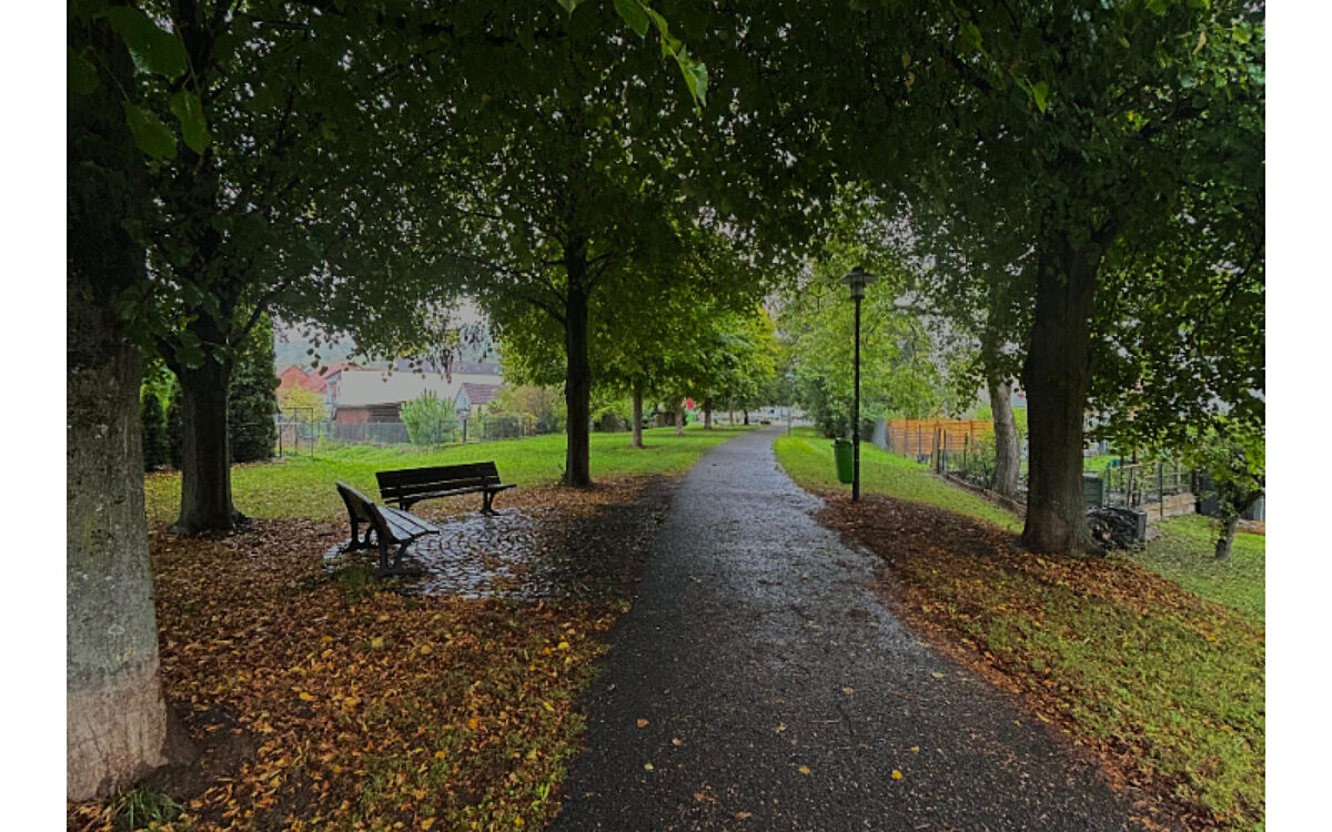 KW 40 Moemlinger Parkanlage collage KW 40 Moemlinger Parkanlage collage