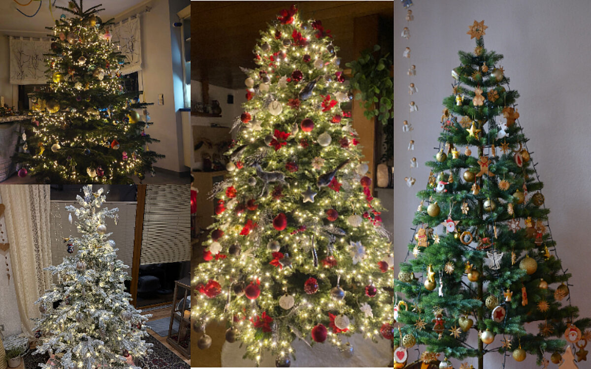 KW 50 Weihnachtsbaum collage