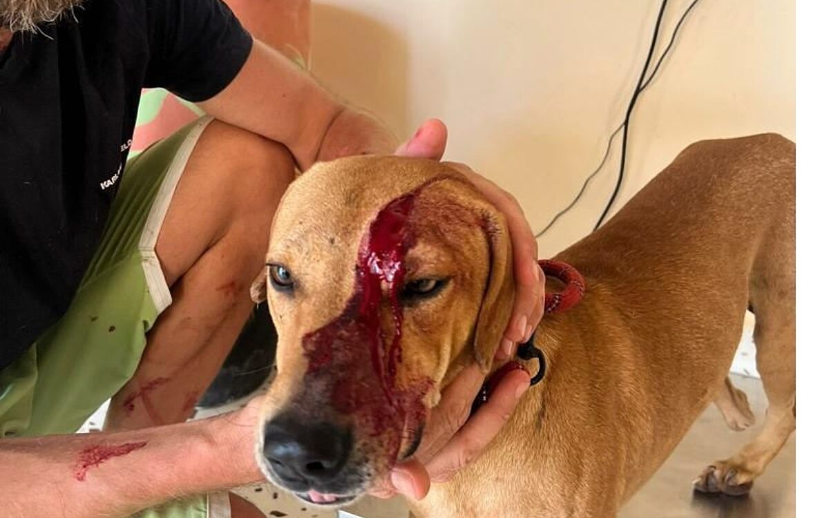 KW01 Jimmy 1 KW01 Jimmy 1