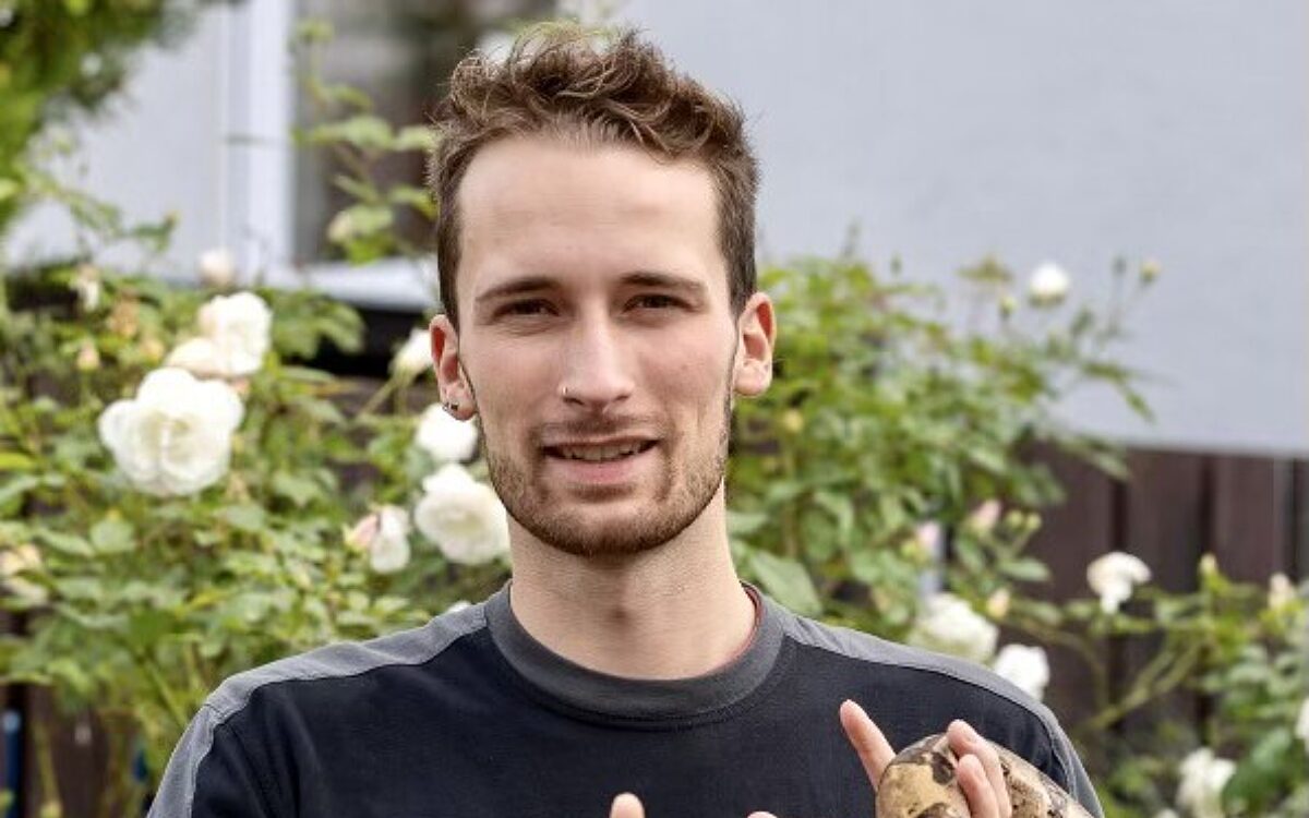 KW03 Katzenproblematik Lukas Kneisel KW03 Katzenproblematik Lukas Kneisel