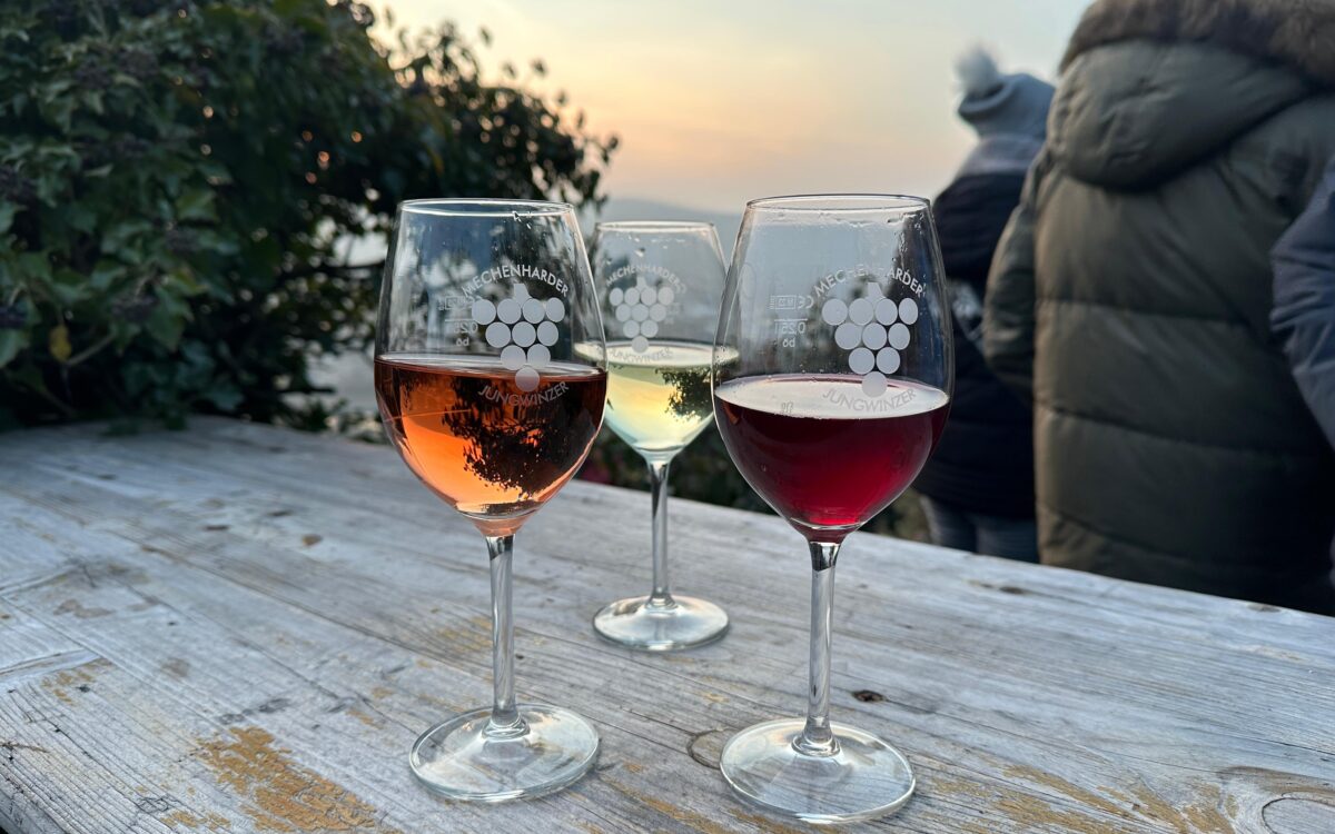 KW04 Erlenbacher Feuertonnenfest 16 KW04 Erlenbacher Feuertonnenfest 16