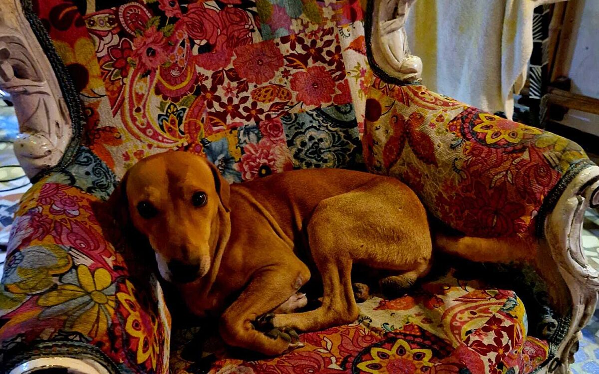 KW04 Gute Geschichte KW04 Gute Geschichte