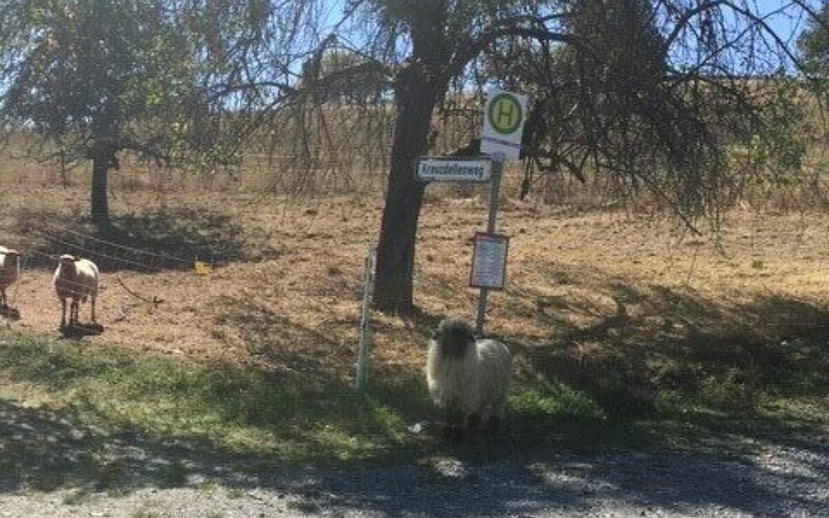 KW05 Leserreporter KW05 Leserreporter