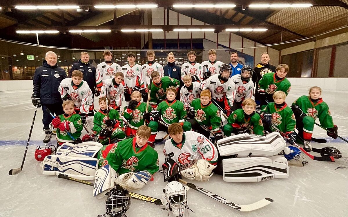 KW05 Eishockey Aschaffenburg 2