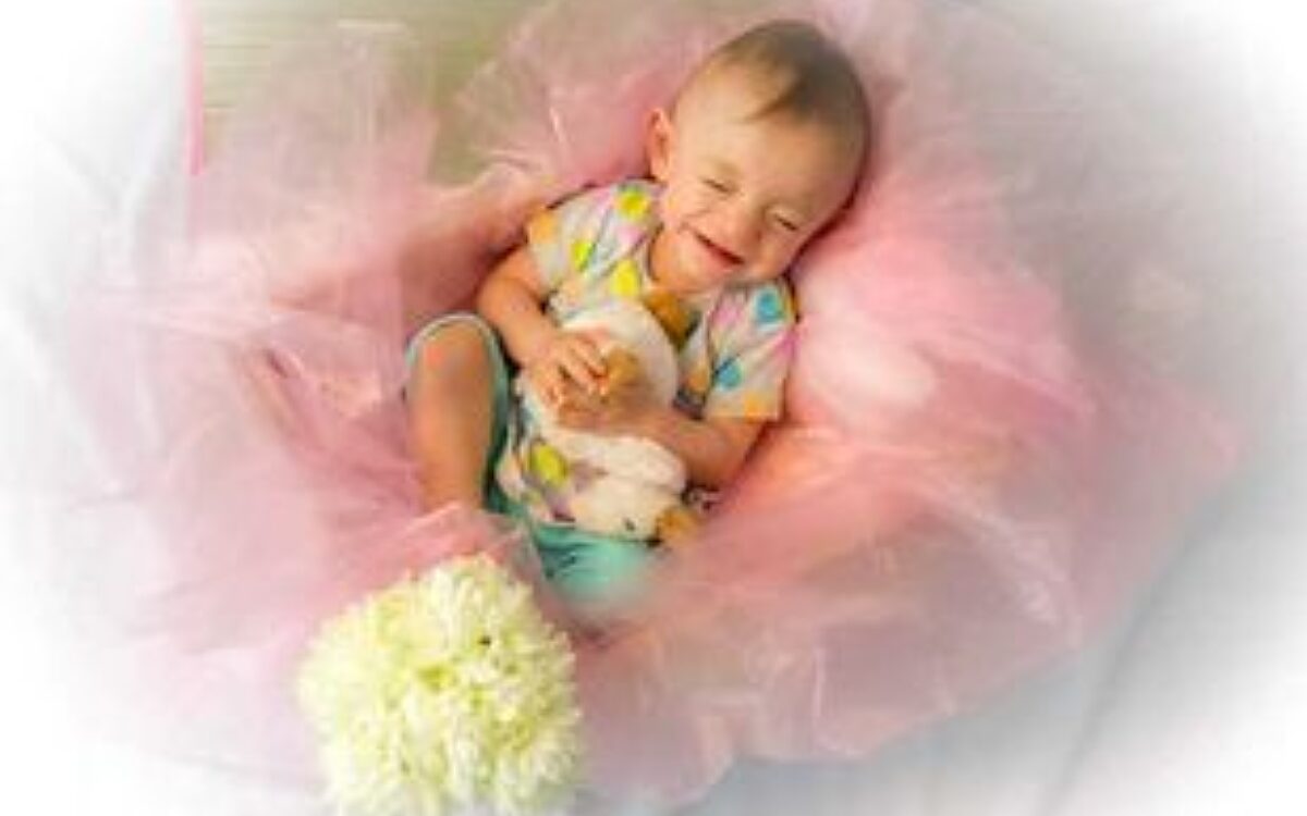 KW08 29 Februar 6 KW08 29 Februar 6