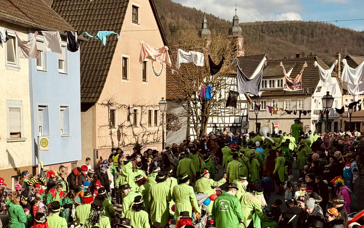 KW09 Faschingsumzuege Amorbach 2 KW09 Faschingsumzuege Amorbach 2