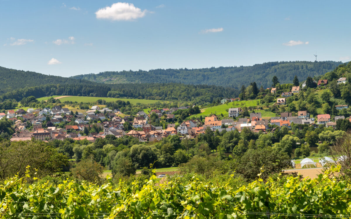 KW12 Ortszwillinge Laudenbach Miltenberg KW12 Ortszwillinge Laudenbach Miltenberg