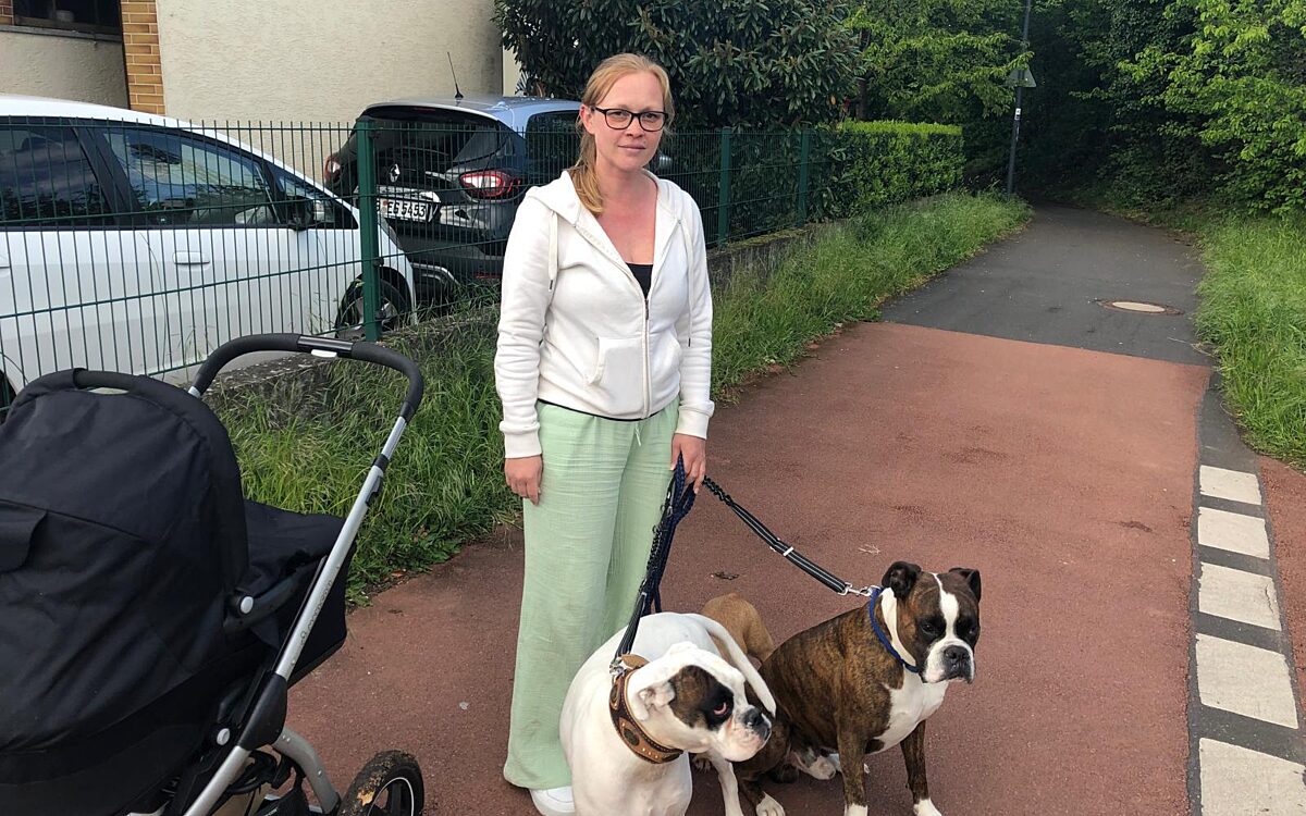 KW16 Hundesteuer 3 6 KW16 Hundesteuer 3 6