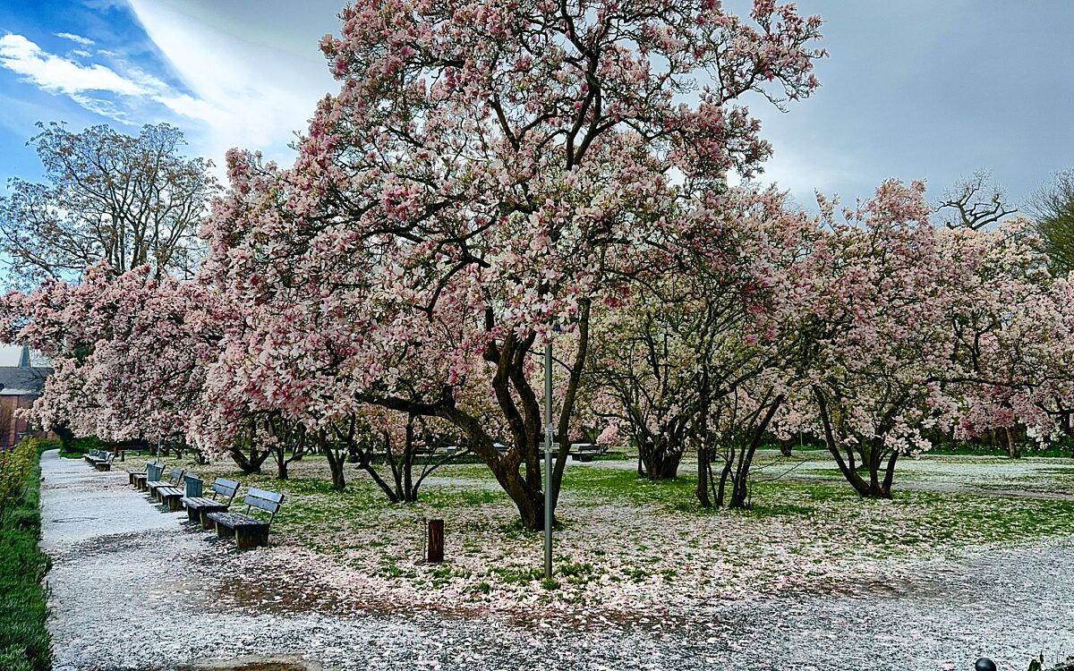 KW16 Leserreporter KW16 Leserreporter