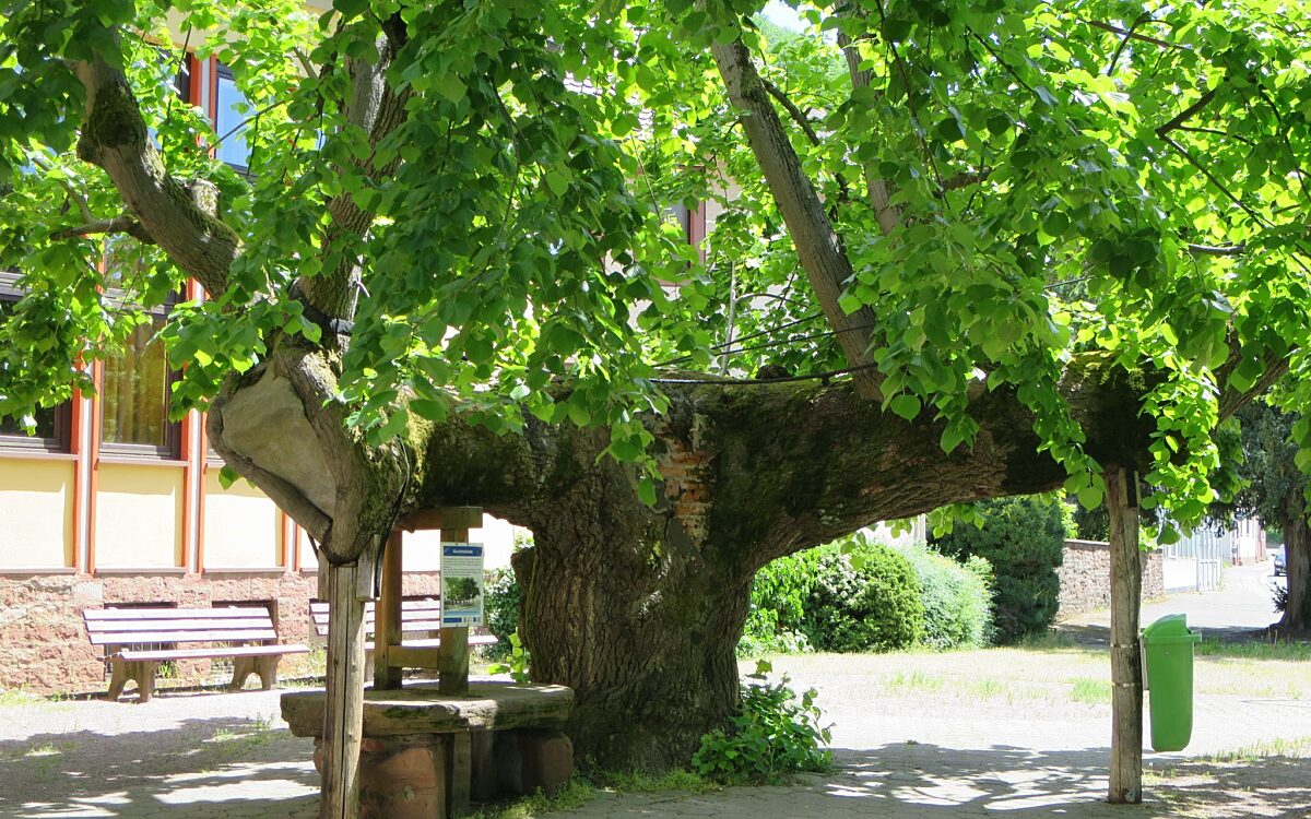 KW16 Wahrzeichen Klingenberg KW16 Wahrzeichen Klingenberg