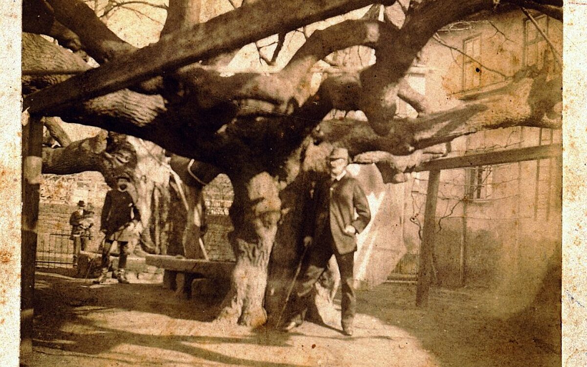 KW16 Wahrzeichen Klingenberg3 KW16 Wahrzeichen Klingenberg3