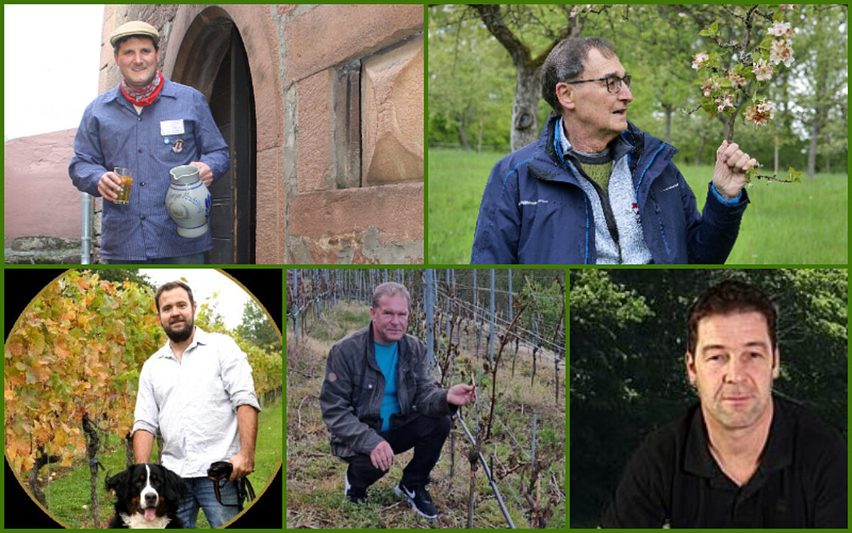 KW17 Bauern der Region Collage KW17 Bauern der Region Collage