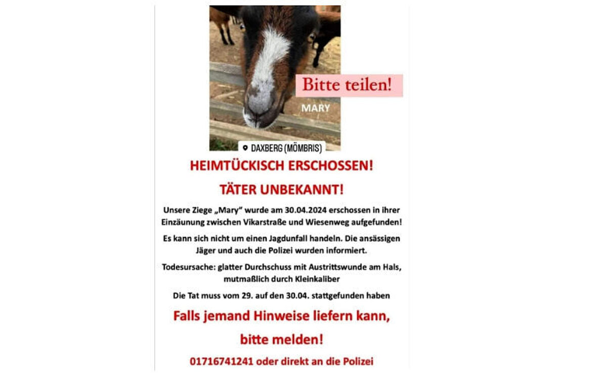 KW19 Tote Ziege Mary KW19 Tote Ziege Mary