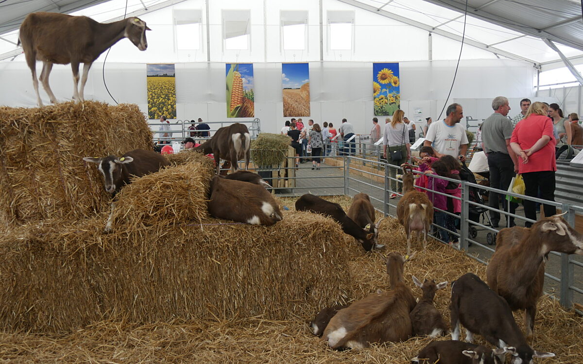 KW20 Messe Waechtersbach 02 KW20 Messe Waechtersbach 02