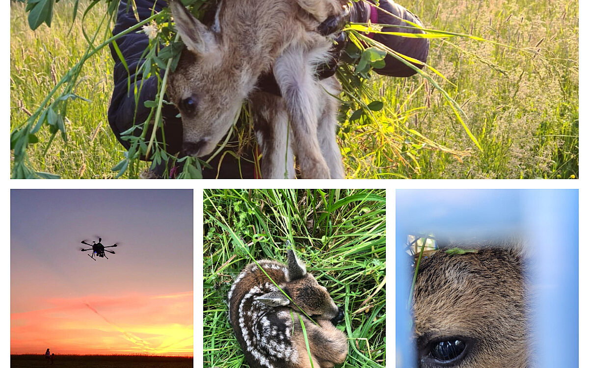 KW21 Titel 2 KW21 Titel 2