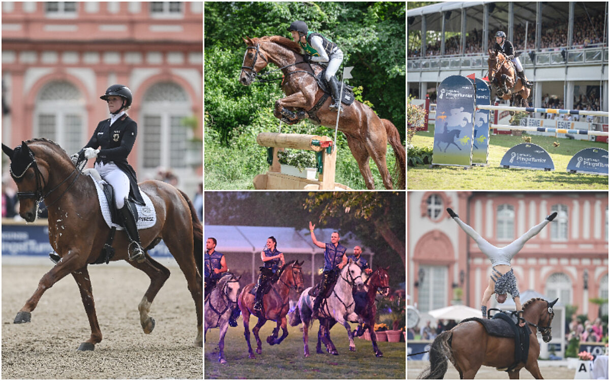 KW21 Pfingstturnier KW21 Pfingstturnier