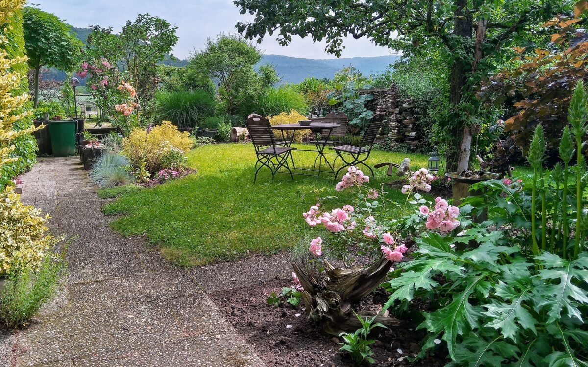 KW25 Gewinnspiel Garten Loewer02 KW25 Gewinnspiel Garten Loewer02