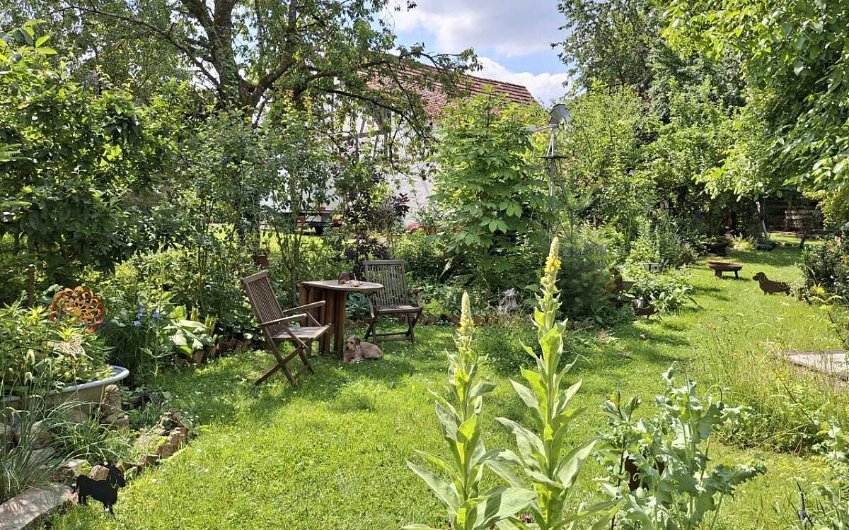 KW25 Gewinnspiel Garten Loewer03 KW25 Gewinnspiel Garten Loewer03