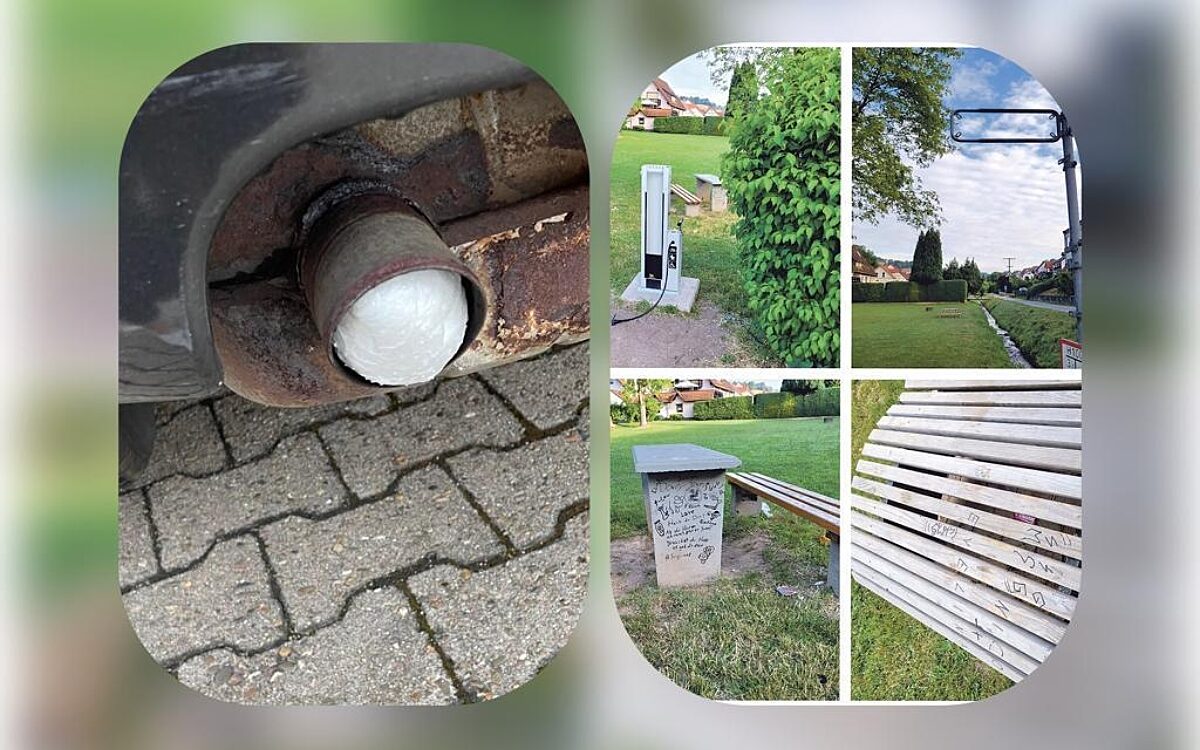 KW30 Lesereporter KW30 Lesereporter