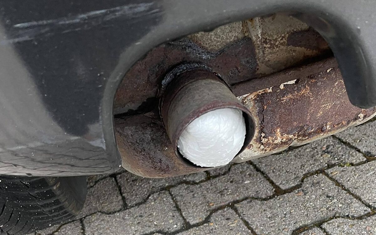 KW30 Leserreporter1 KW30 Leserreporter1