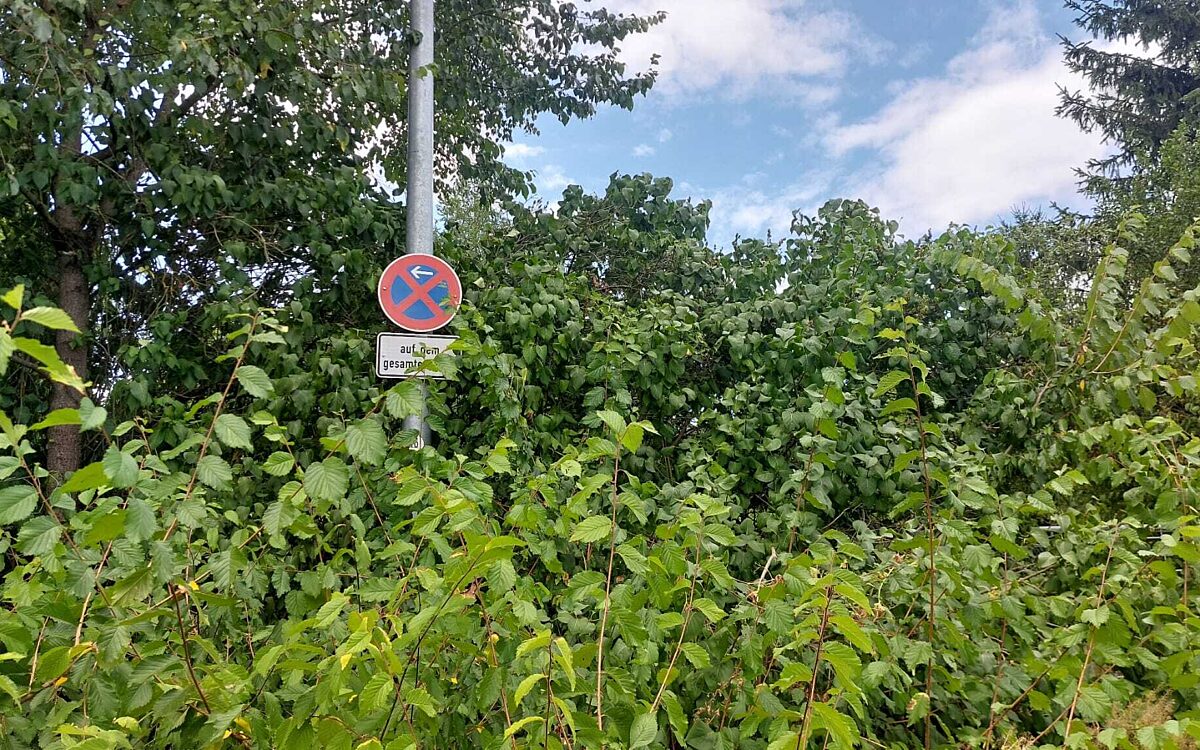 KW30 Aschaffenburg Parkverbotsschild 3 KW30 Aschaffenburg Parkverbotsschild 3