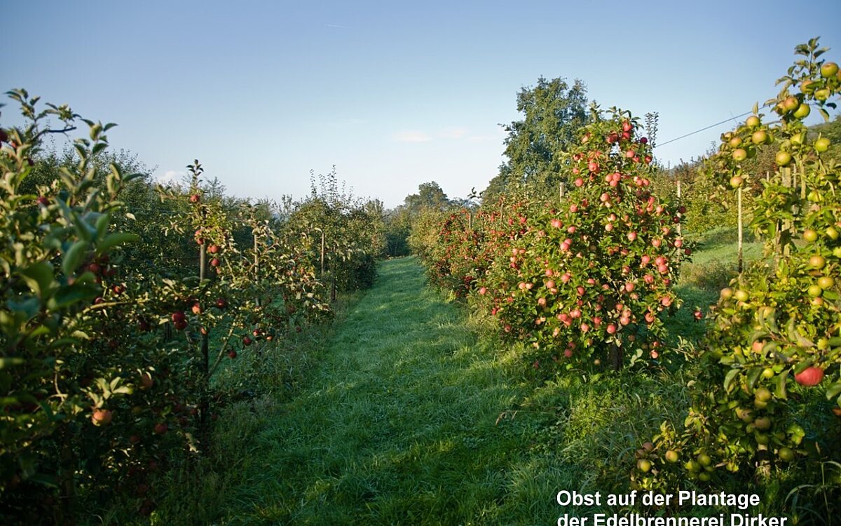 KW32 Alkoholsteuer 1 KW32 Alkoholsteuer 1