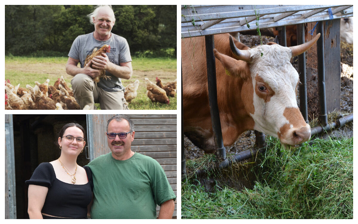 KW33 Bio gegen konventionell KW33 Bio gegen konventionell